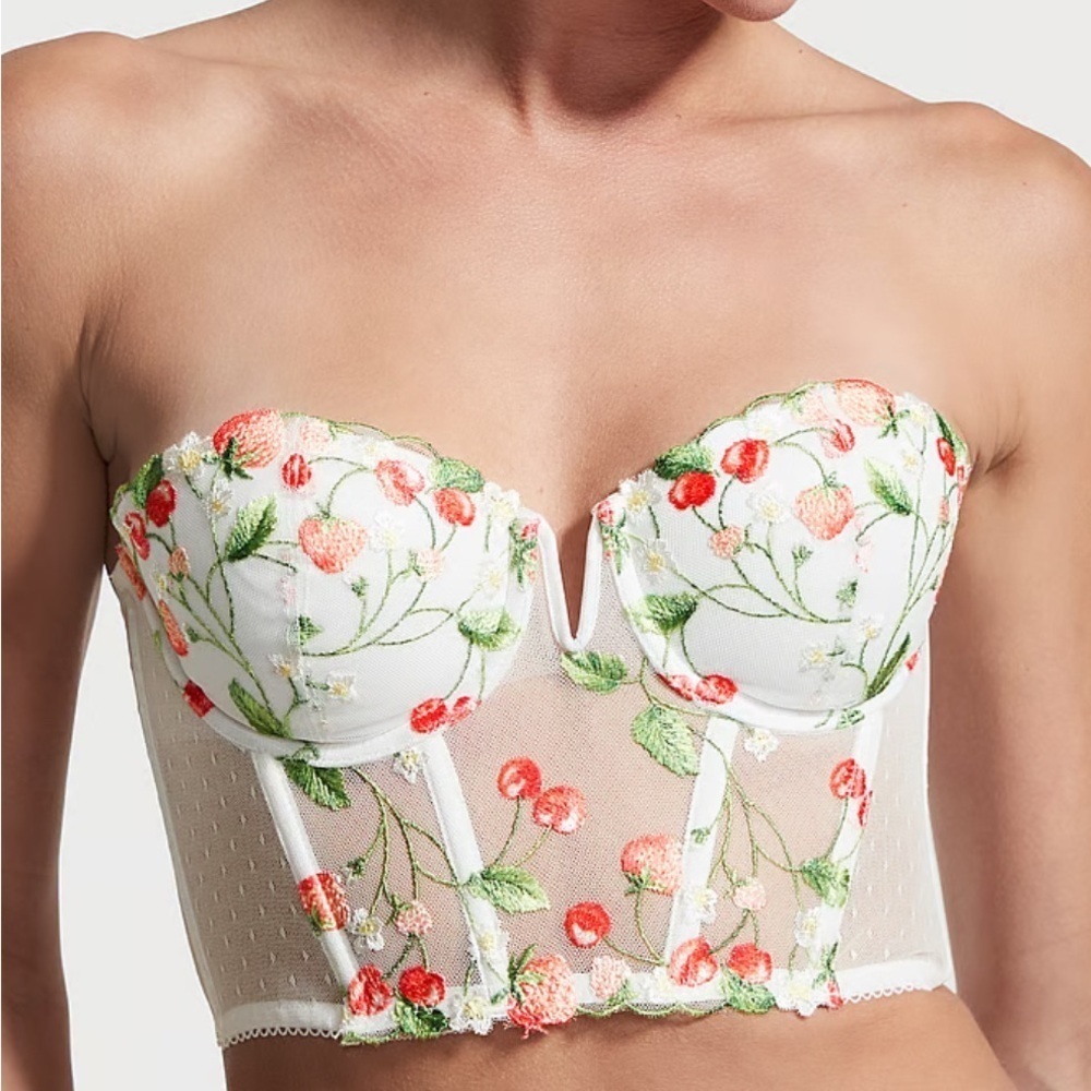 Victoria’s Secret Dream Angels Strawberry Embroidery Corset Top